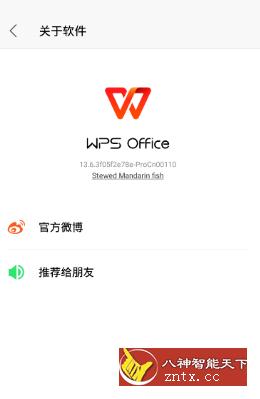WPS Office Pro v13.32.0专业版-网亿资源平台