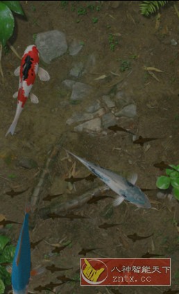 Water Garden 鱼池 v1.87完整版-网亿资源平台