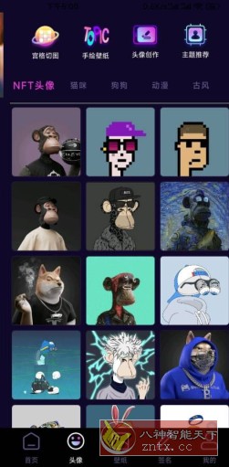 潮流头像社1.1纯净版-网亿资源平台