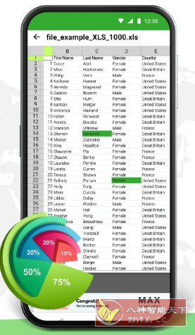 XLSX Reader XLSX阅读器v1.2.0高级版-网亿资源平台