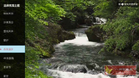 任意窗TV版 v2.4.970-网亿资源平台