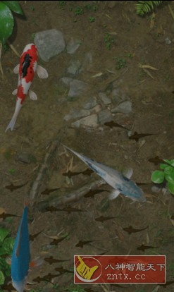 Water Garden 鱼池v1.88 完整版-网亿资源平台