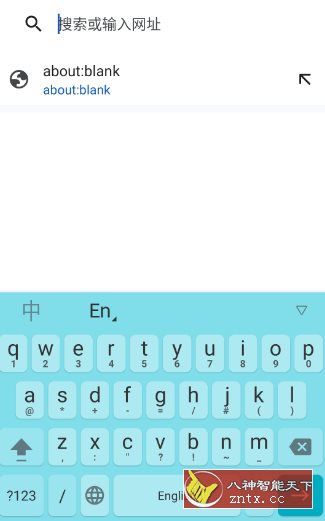 谷歌拼音输入法 4.5.2-网亿资源平台