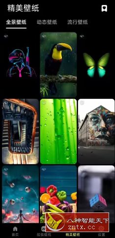 皮卡超级壁纸1.2.7高级版-网亿资源平台