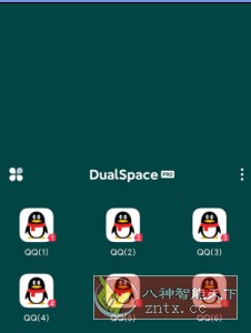 DualSpace Pro 轻松多开v3.0.2专业版-网亿资源平台