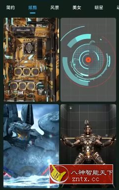 全民壁纸4.9.0高级版-网亿资源平台