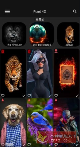 Pixel 4D 动态壁纸v3.3.7 高级版-网亿资源平台