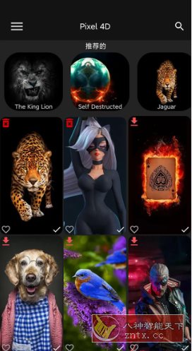 Pixel 4D 动态壁纸 v3.4.0高级版-网亿资源平台