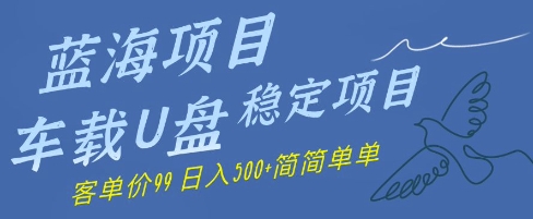蓝海项目车载U盘稳定项目，挣的就是信息差，客单价99，日入几张简简单单-网亿资源平台