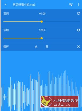 音乐速度调节器 Music Speed Changer v8.8.6 免费清爽版-网亿资源平台