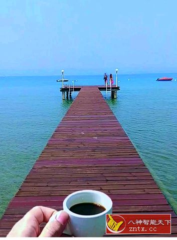 Loopsie Pro 3D动态照片拍摄v5.0.0高级／专业版★xda免费，3D照片很炫！-网亿资源平台