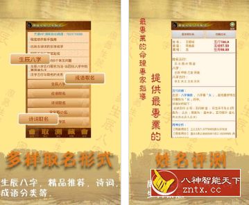 【吾爱大神修改】周易八字取名起名v11.46专业版-网亿资源平台