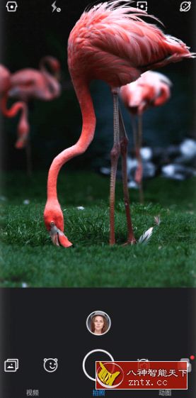 【xda免费】极相机 Z Camera v4.49直装免费VIP-网亿资源平台