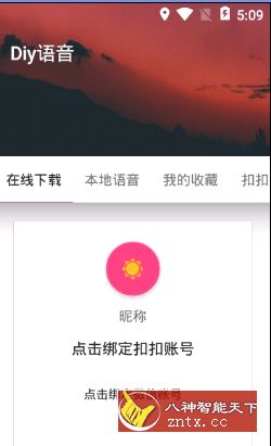 DIY语音秀0.87高级vip版-网亿资源平台