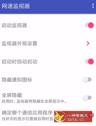 Internet Speed Monitor Pro 网速监视器 v0.9.5.0 高级专业版-网亿资源平台