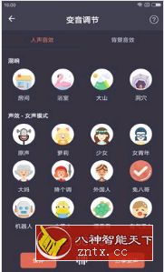 专业变声器 v3.6 高级专业版-网亿资源平台