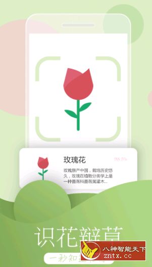 识物v3.5.2专业版／纯净版／兔耳离修改-网亿资源平台