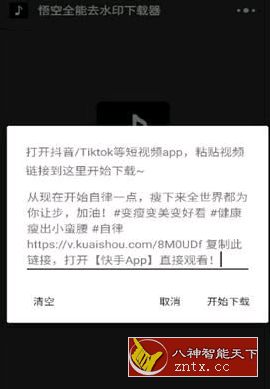 悟空全能纯净版下载器v2.5.5纯净版★大妈修改-网亿资源平台