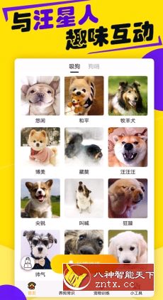 狗语翻译器 v1.4.0 专业版／免登录，与汪星人交流-网亿资源平台