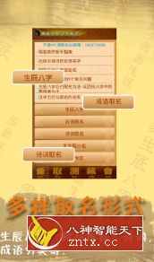 周易八字取名起名11.61纯净版／清爽版★白鸭mod-网亿资源平台