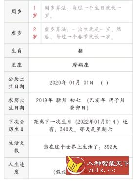 年龄计算器1.0原创版--竹笋家开发-网亿资源平台