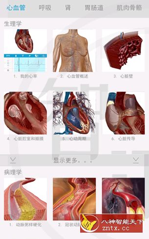 生理和病理学v1.1.06专业版／君梦尘修改-网亿资源平台