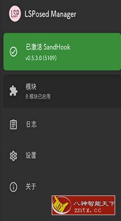 LSPosed v1.4.3(5728)-LSPosed框架-网亿资源平台