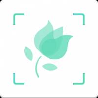 PictureThis 花卉识别3.0.4 高级版-网亿资源平台