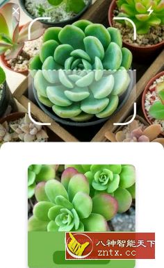 NatureID 植物识别v2.8.2付费版-网亿资源平台