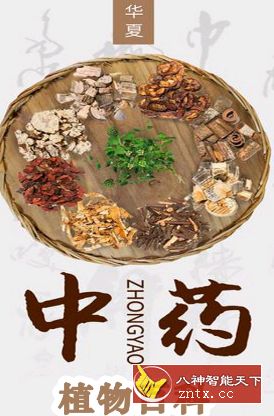 中医植物百科全书-网亿资源平台