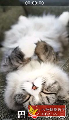 Silent Video Camera 静音摄像机6.10.6 高级版-网亿资源平台