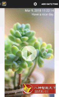 Timestamp Photo and Video 照片视频时间戳1.55付费版-网亿资源平台