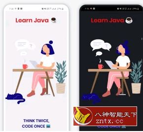Learn Java Programming Tutorial 学习Java编程2.2清爽版-网亿资源平台