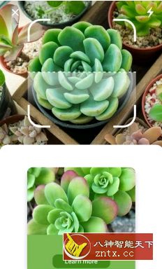 natureID 植物识别 2.10.7付费版-网亿资源平台