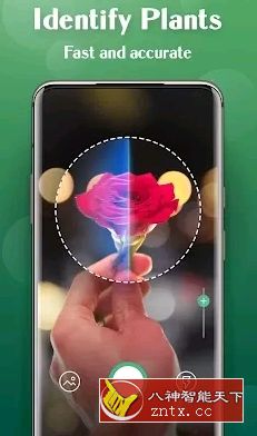 Plant Lens 植物识别v1.48高级版-网亿资源平台