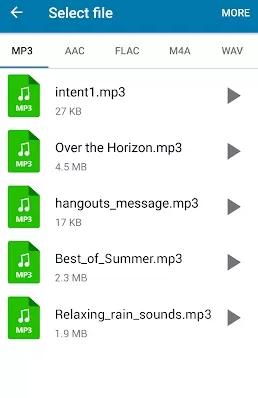 mp3转换器 MP3 Converter 61.0专业版-网亿资源平台