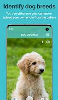 Dog Scanner Dog Breed Identification 狗狗鉴定器v12.1.0中文高级版-网亿资源平台