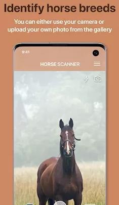 Horse Scanner Horse Breed Identification 马马鉴定器v12.1.0中文高级版-网亿资源平台