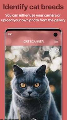 Cat Scanner Cat Breed Identification 猫猫鉴定器12.1.0中文高级版-网亿资源平台