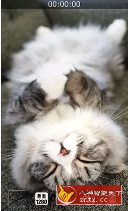 Silent Video Camera 静音摄像机7.2.3高级版-网亿资源平台