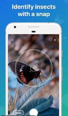 Picture Insect 昆虫识别 2.7.5高级版-网亿资源平台