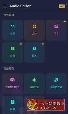 Audio Editor Pro 音频编辑器v1.01.27.0112专业版-网亿资源平台