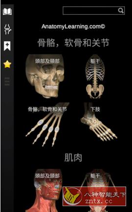 Anatomy Learning 3D人体解剖v2.1.351完整版-网亿资源平台