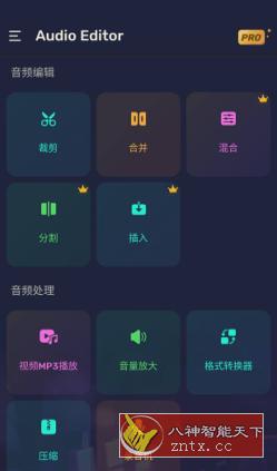 Audio Editor Pro Pro音频编辑器v1.01.34.0410专业版-网亿资源平台