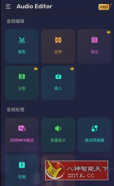 Audio Editor Pro音频编辑器v1.01.35.0419专业版-网亿资源平台