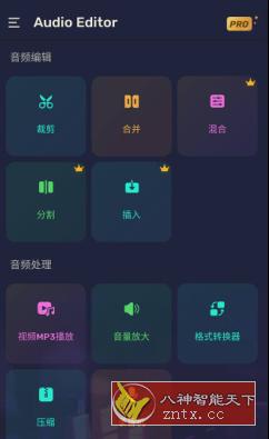 Audio Editor Pro Pro音频编辑器v1.01.36.0423专业版-网亿资源平台