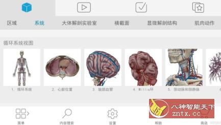 人体解剖v1.68自用版★价值上千元-网亿资源平台