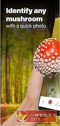 Mushroom ID 蘑菇识别v2.8.13 高级版-网亿资源平台