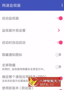 Internet Speed Monitor Pro 网速监视器v0.9.7.6专业版-网亿资源平台