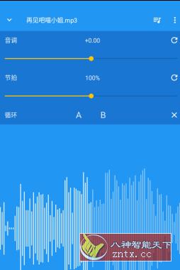 音乐速度调节器 Music Speed Changer v10.3.20解锁版-网亿资源平台